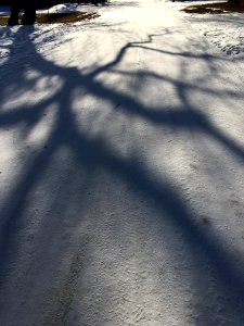 2019/365/15 Indirect Paths