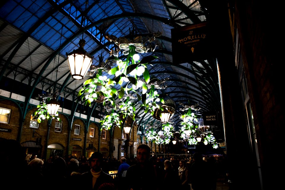 Christmas lights at the Apple Market