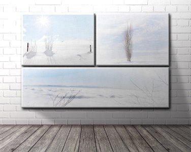 Winter's Dream