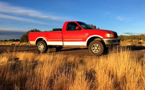 2017/365/337 The Mighty Red Dog photo