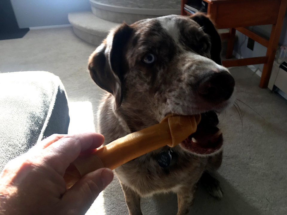 For Me?