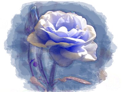 Painting flower blue flower