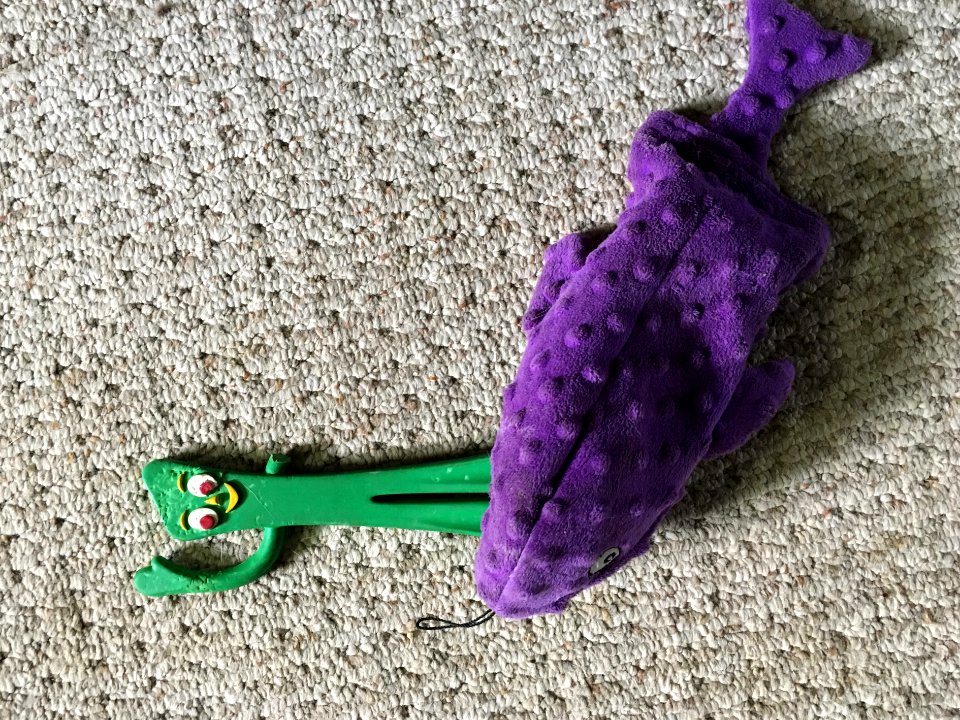 Gumby Ignored the Purple Shark Warning Signs