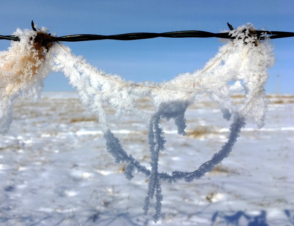 Snow Pendant