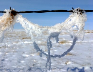 Snow Pendant