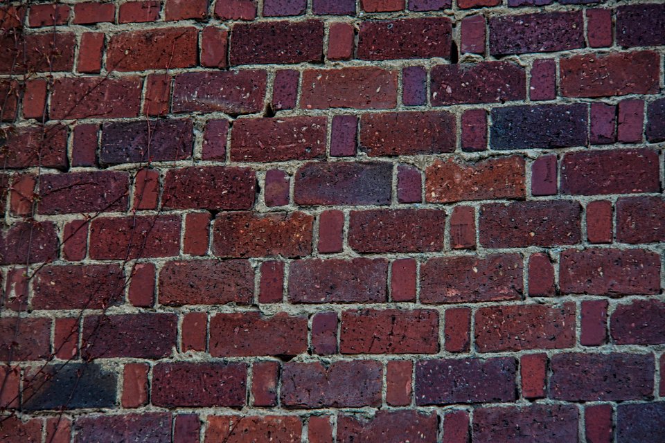Elicar 135mm 2f8 F= 8 an ILCE 7M2 mauer, testbild