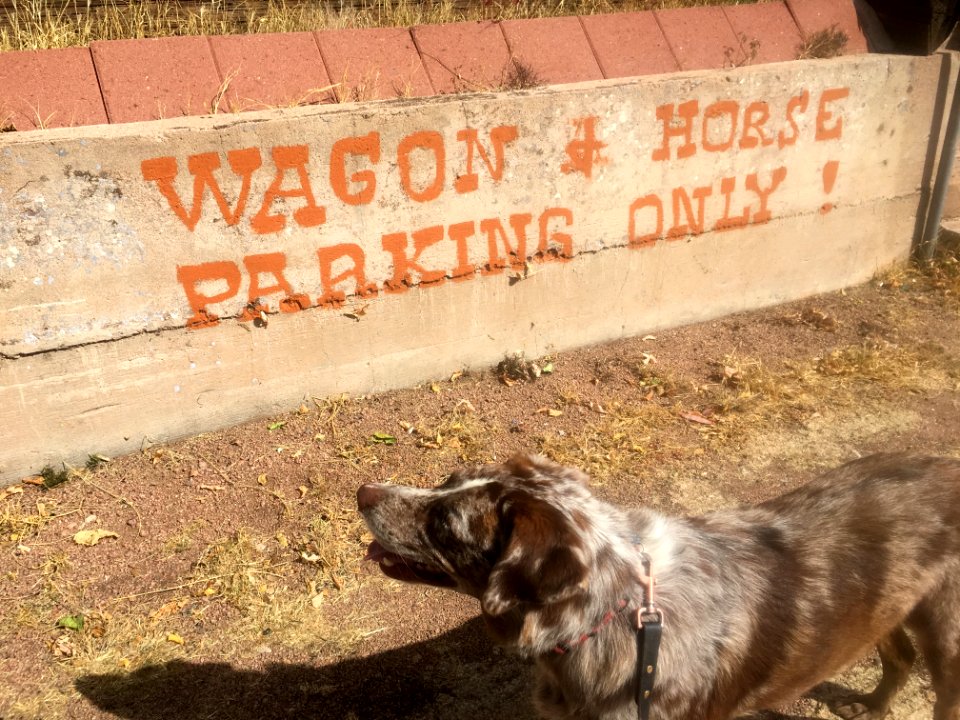 Too Many Rules Around Here