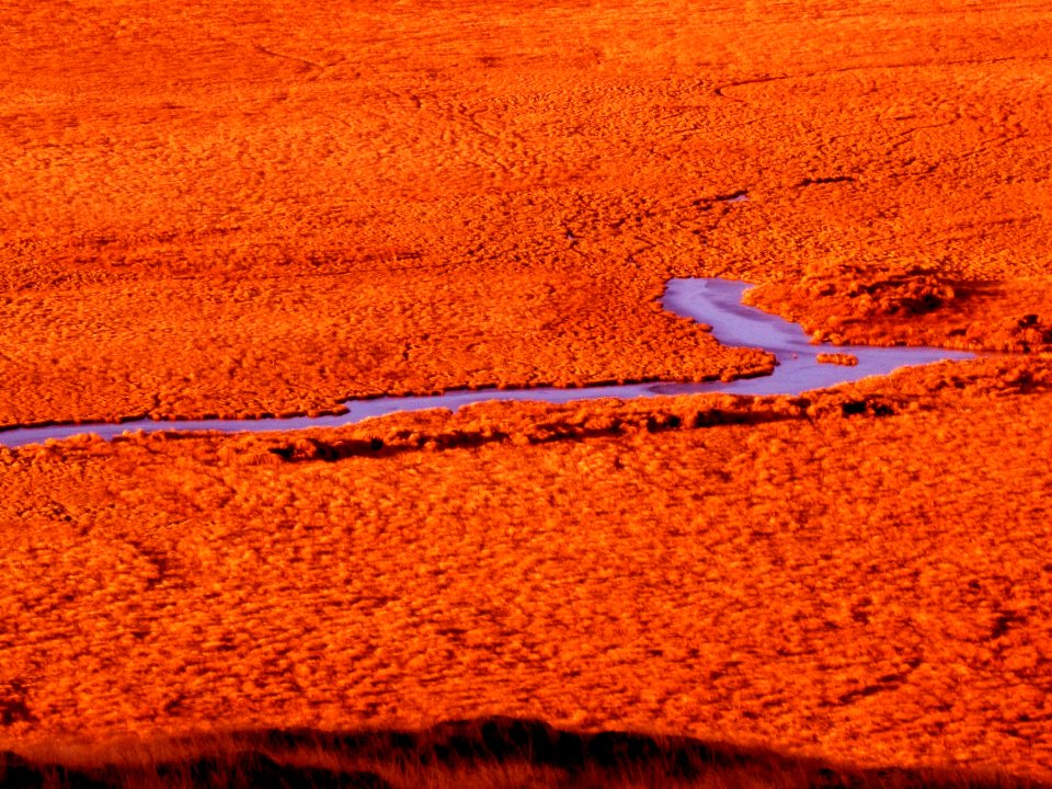 False False False Colors