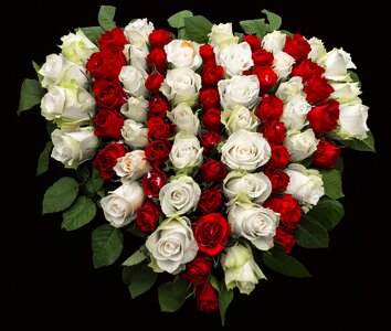 Floral arrangement bouquet of roses colorful