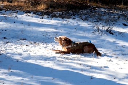 20181203-FS-KAIBAB-LSC-0065