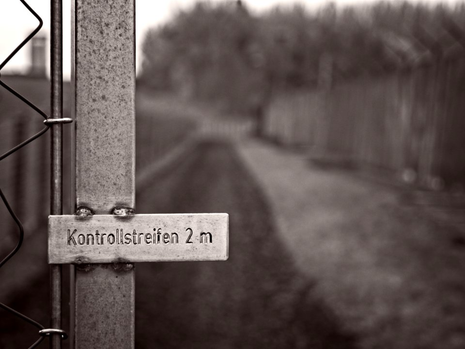 Control Strip - Kontrollstreifen