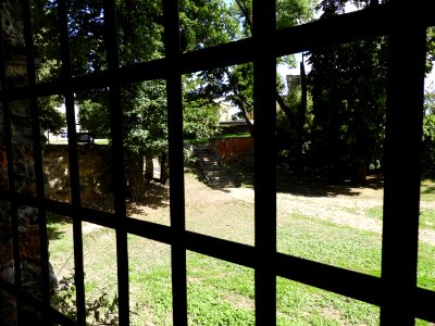 DSCN8168