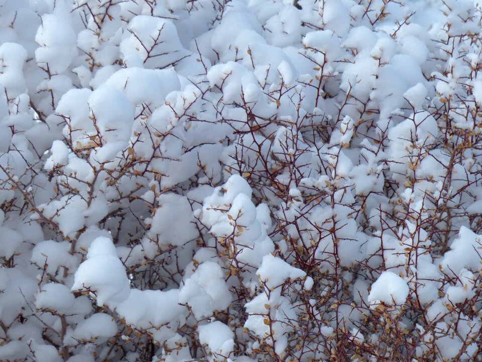 Winter cold white
