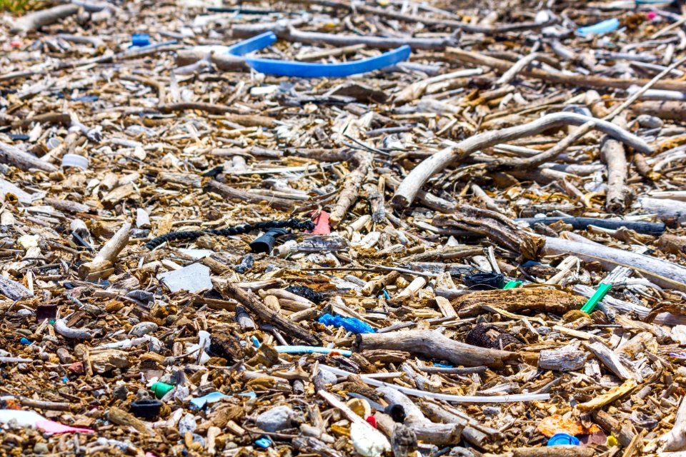 Marine debris, largely composed of plastic, intermingles with organic material that has washed up on Midway