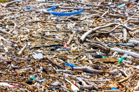 Marine debris, largely composed of plastic, intermingles with organic material that has washed up on Midway