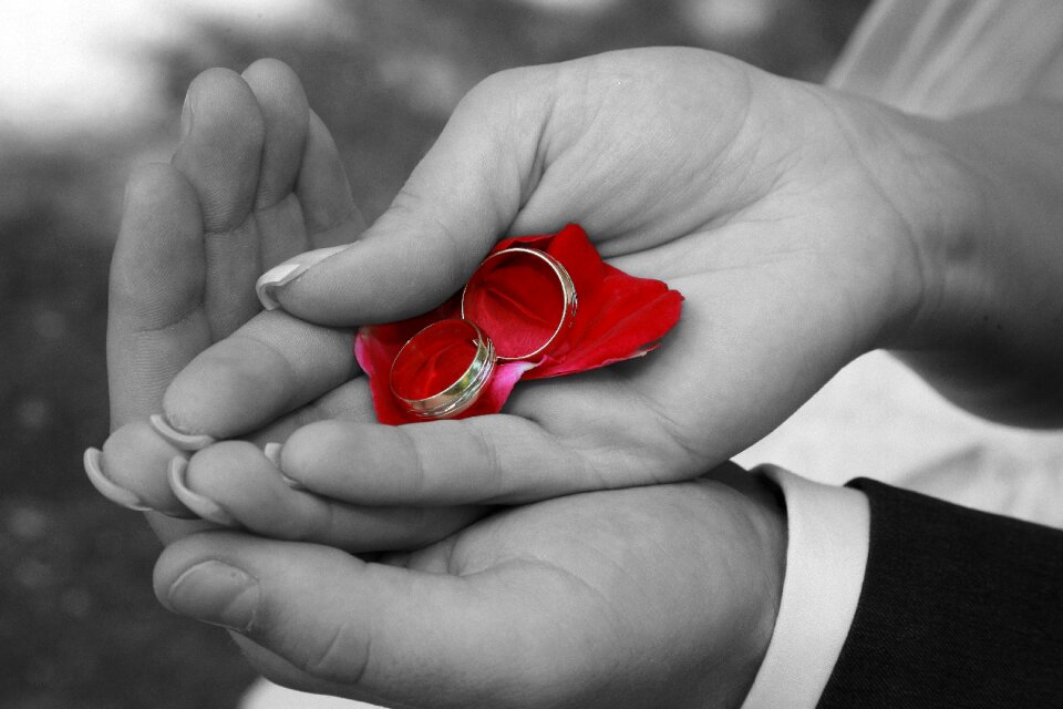 Wedding wedding rings hands