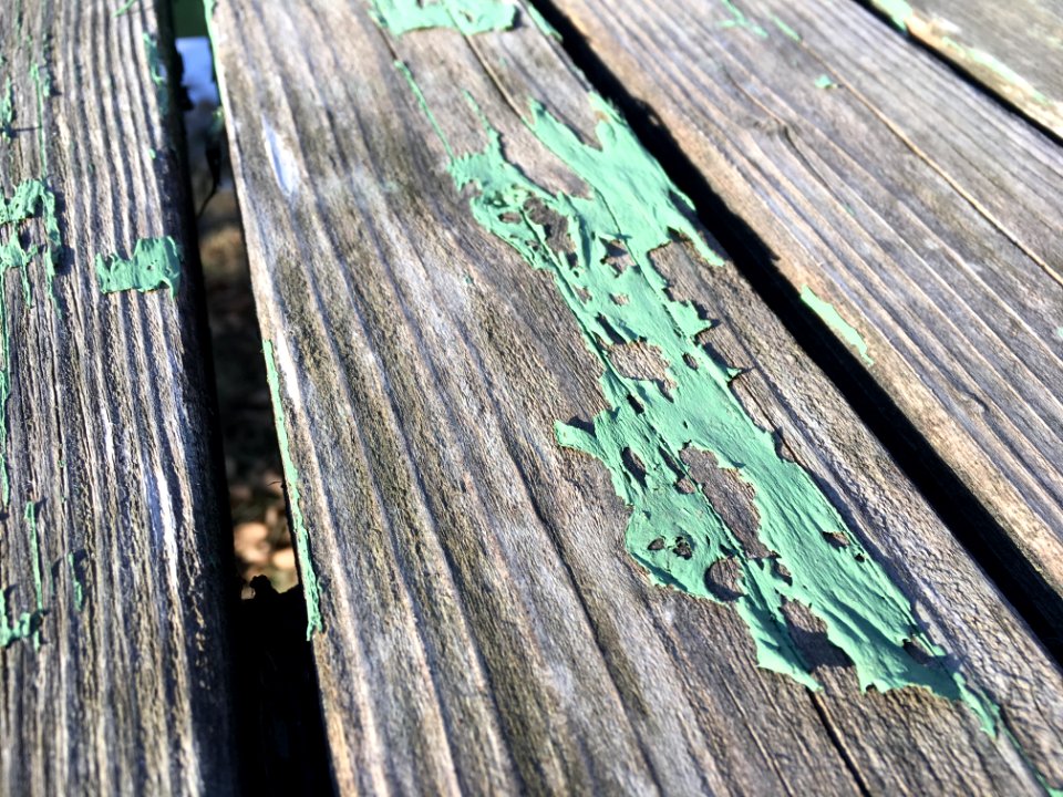 Still Green