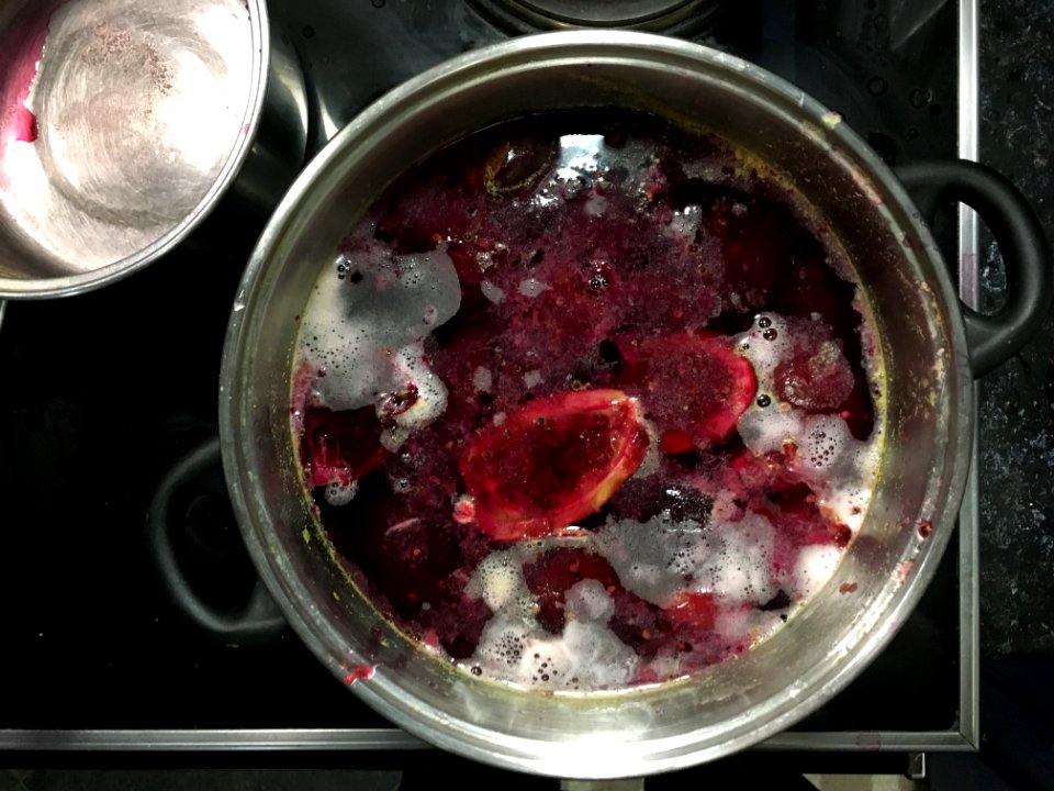Boiling Prickly Pear Cactus Fruit