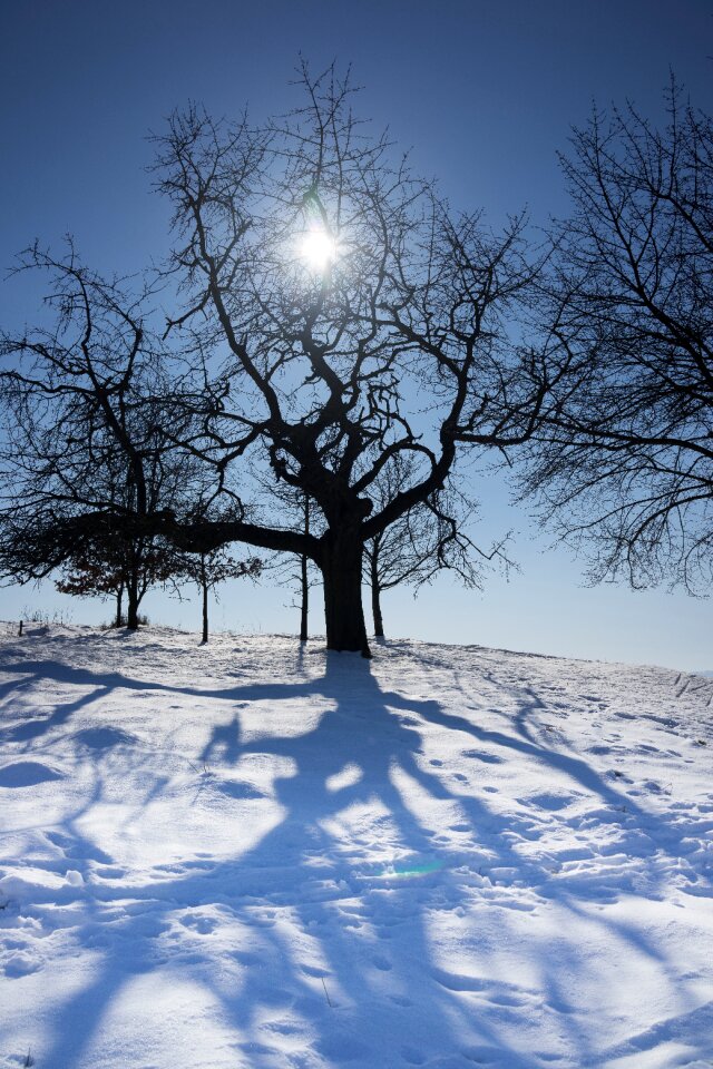 Snow shadow loneliness