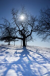 Snow shadow loneliness