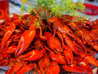 Fall food crabs