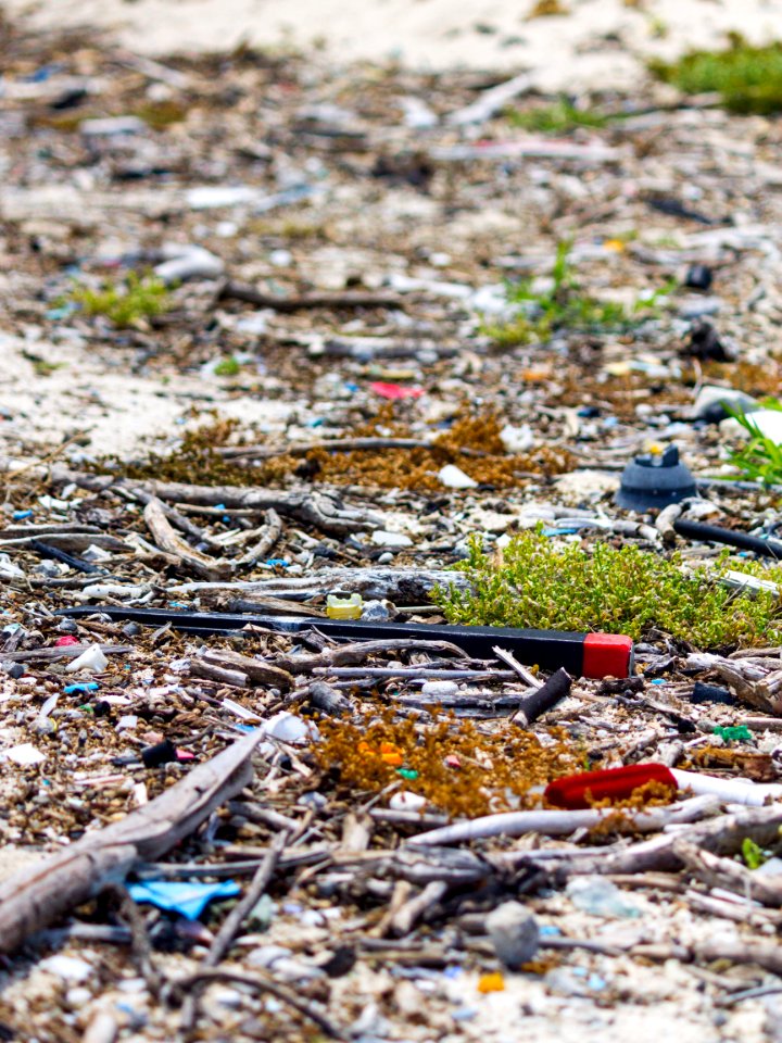 Marine debris, largely composed of plastic, intermingles with organic material that has washed up on Midway