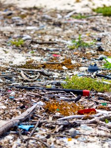Marine debris, largely composed of plastic, intermingles with organic material that has washed up on Midway