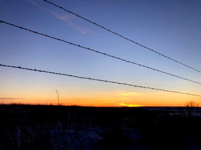 Three Lines Will Meet One Day