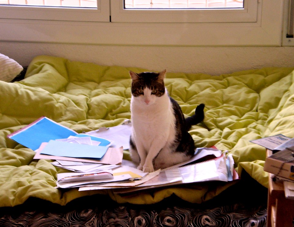 I will now sleep on your homework