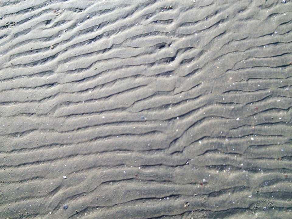 Wet sand close up