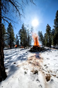 20181203-FS-KAIBAB-LSC-0080