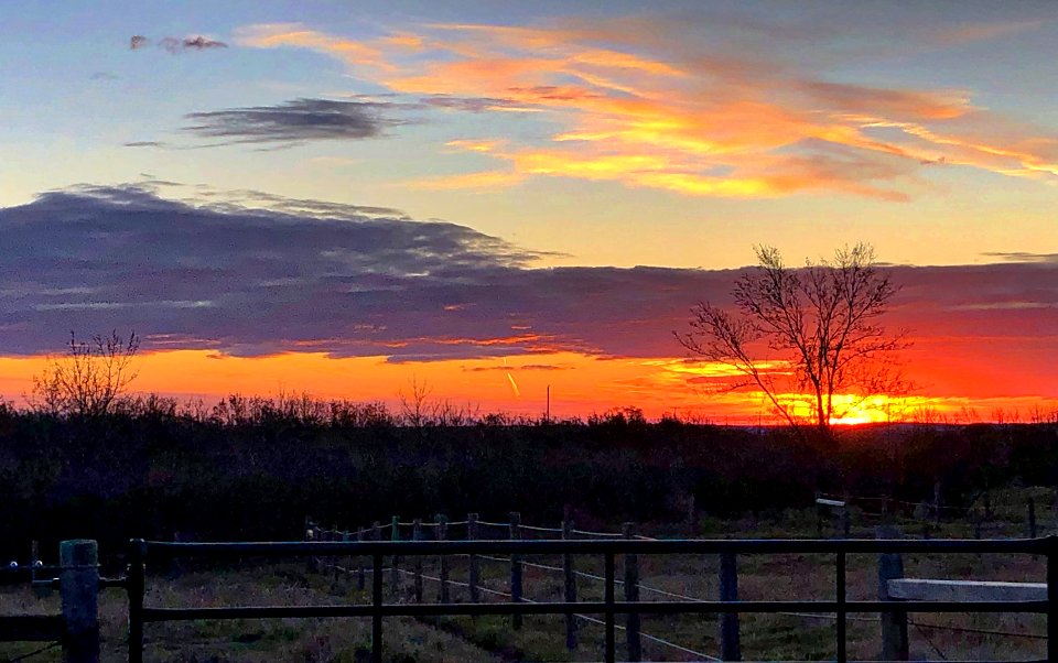 A Field of Sunrises