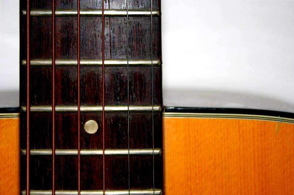 Frets