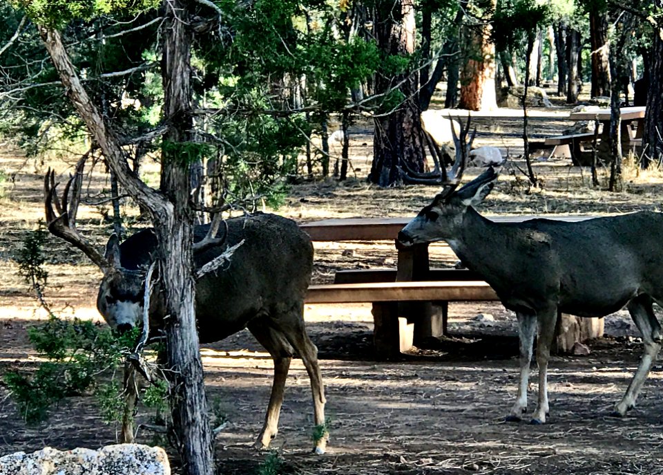 Breakfast with neighbors