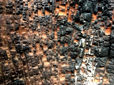 Burnt Pixels