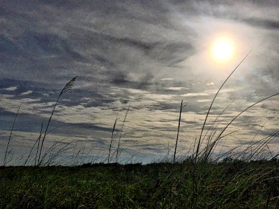 Edge of the Beach