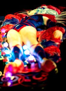 fan of the lights2