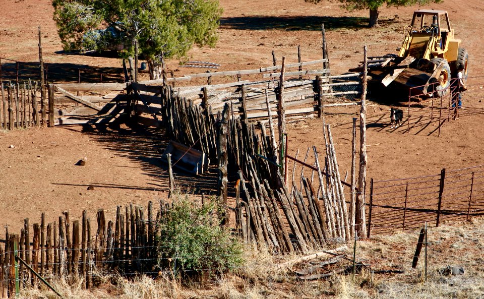 AZ ranching at turn of the century...er, today.