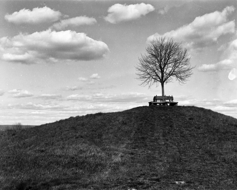 Lime on Tumulus - Analog