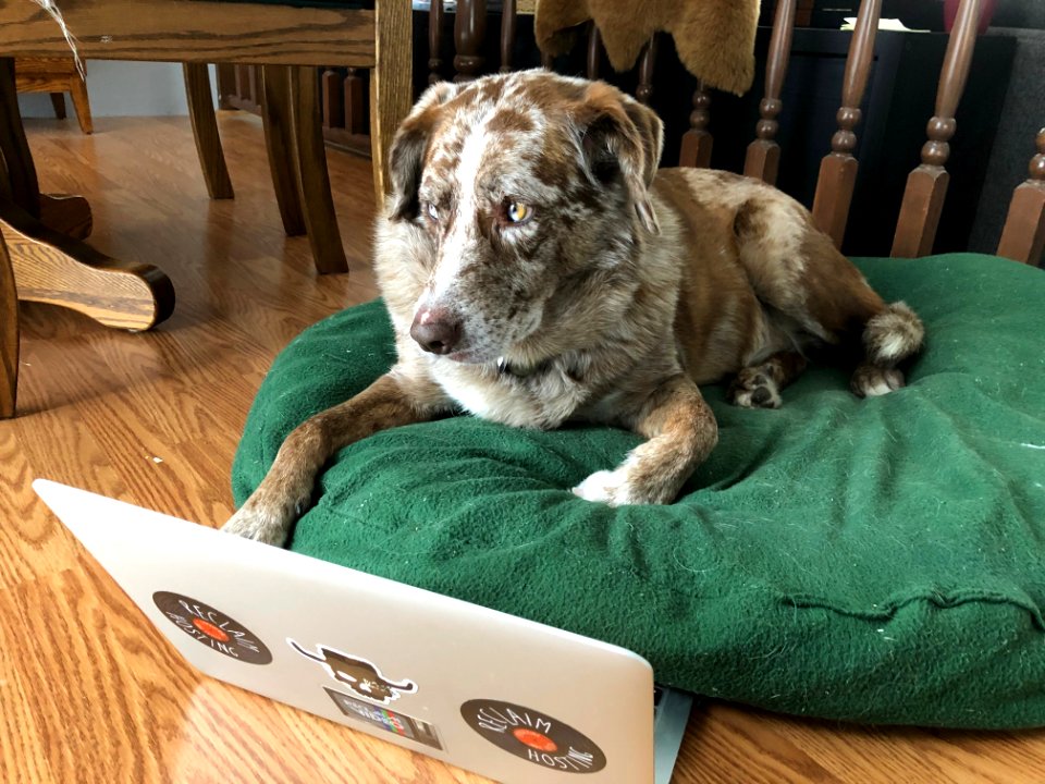 2019/365/317 Can't Think of Anything to Blog About