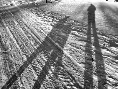 2019/365/23 Tall Shadows photo