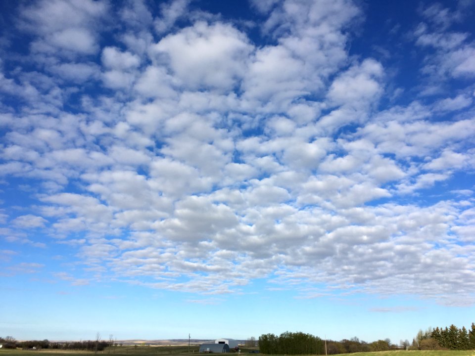 Under the Puffy Clouds