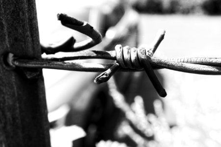 Barbed Wire