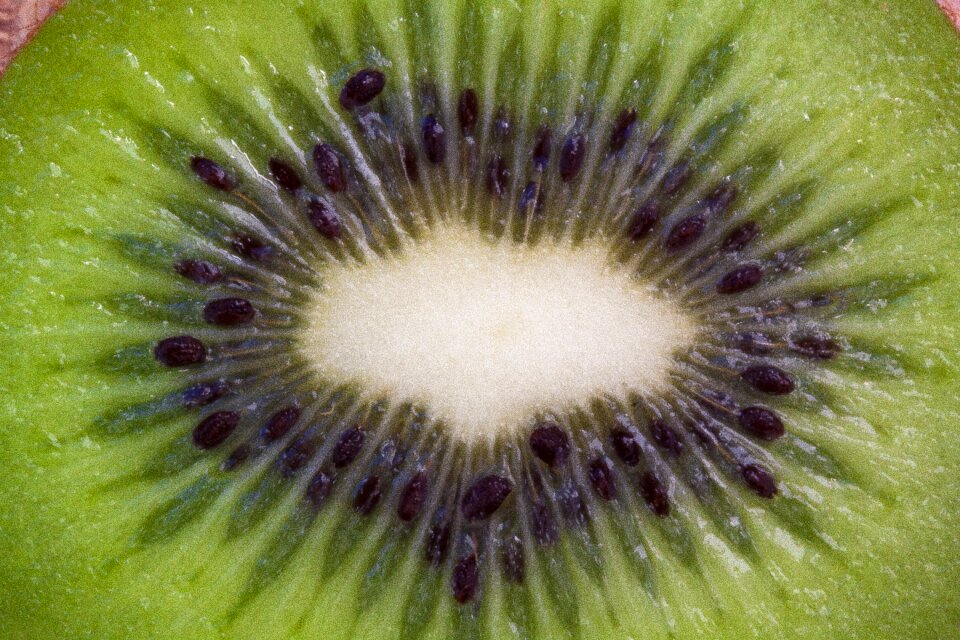Healthy food sliced