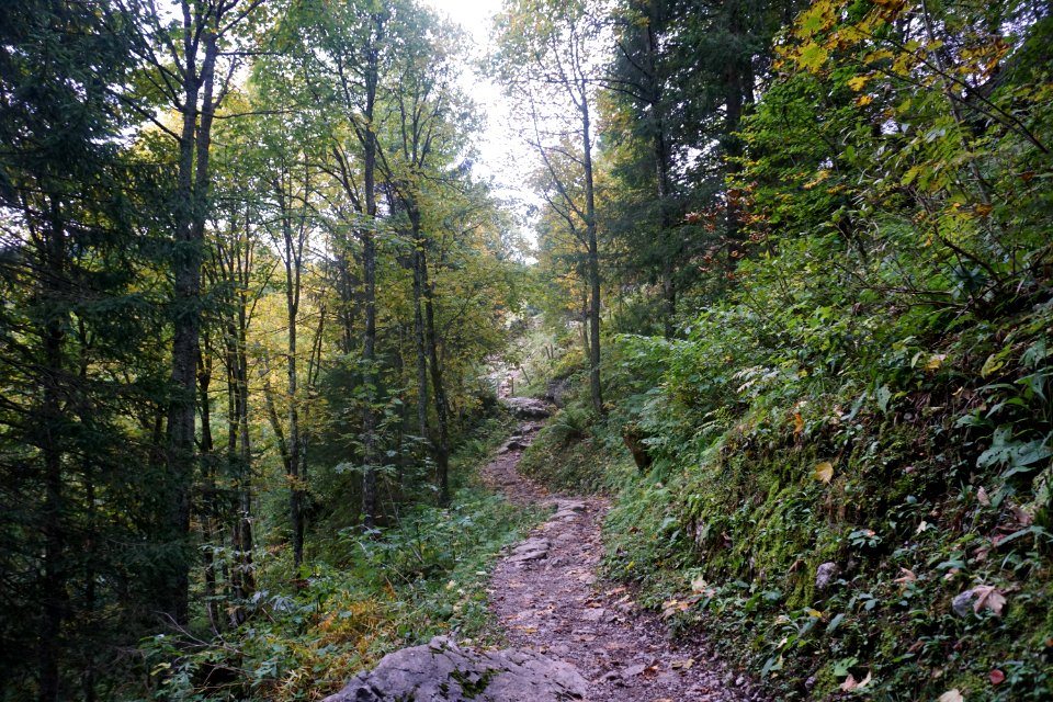 unterhalb Holzegg (Kanton Schwyz)