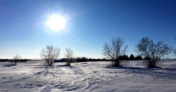 Wind Sculpted Snow