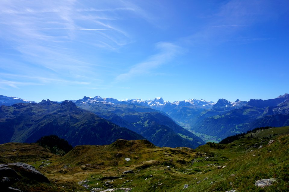 Glarner Alpen (Alp Fessis, Kanton Glarus)