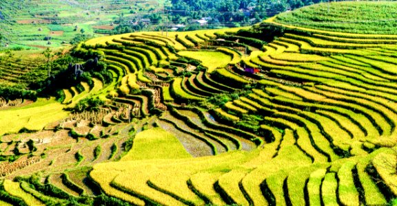 Ha Giang - 2012 - 121