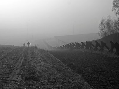 Misty Walk