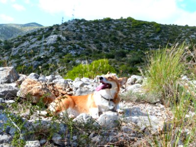 Sun hiking in Garraf